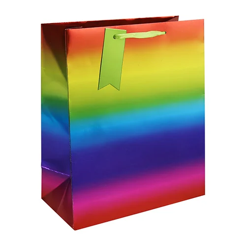 Rainbow metallic medium gift bag